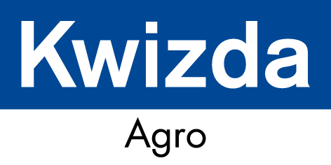 branding logo